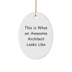 Funny Architect Gifts from Friends for Men - This Is What An Awesome Architect Looks Like Oval Ornament, Christmas Unique Present
