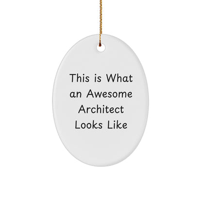 Funny Architect Gifts from Friends for Men - This Is What An Awesome Architect Looks Like Oval Ornament, Christmas Unique Present
