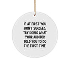 Funny Auditor Gifts, Circle Ornament with Inspirational Quote, Gifts from Men to Auditors for Christmas, Durable MDF Material