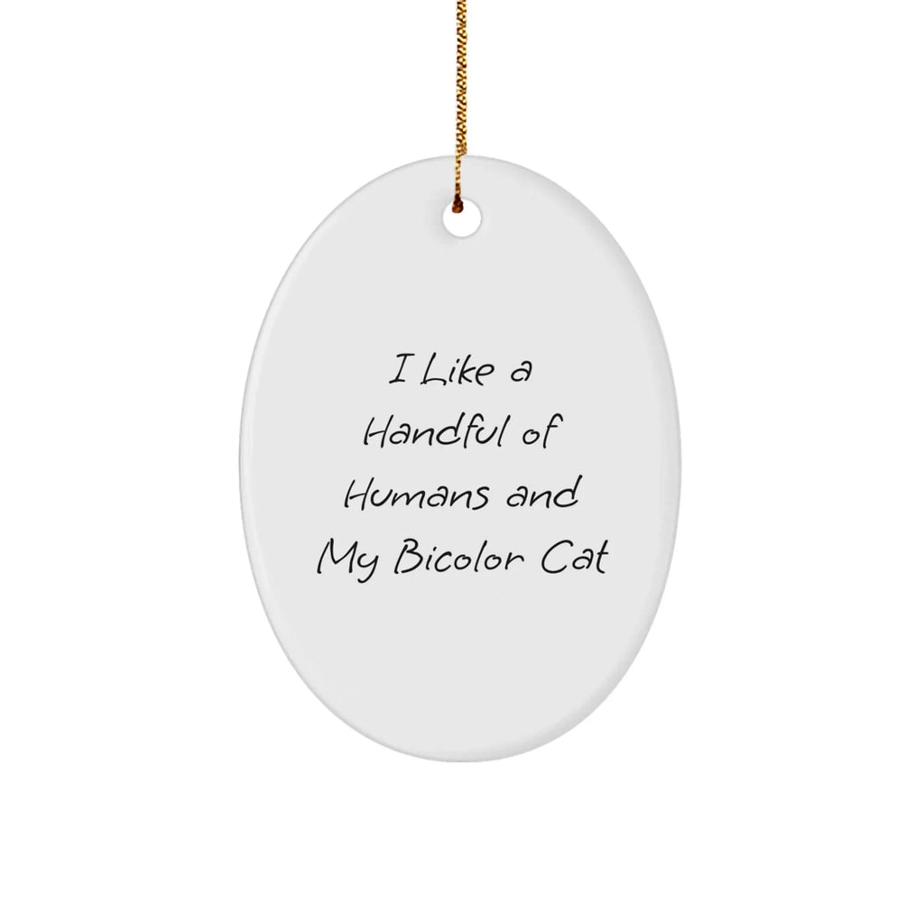 Funny Bicolor Cat Oval Ornament Gifts from Friends, Gifts for Bicolor Cat Lovers, Christmas Unique Gifts