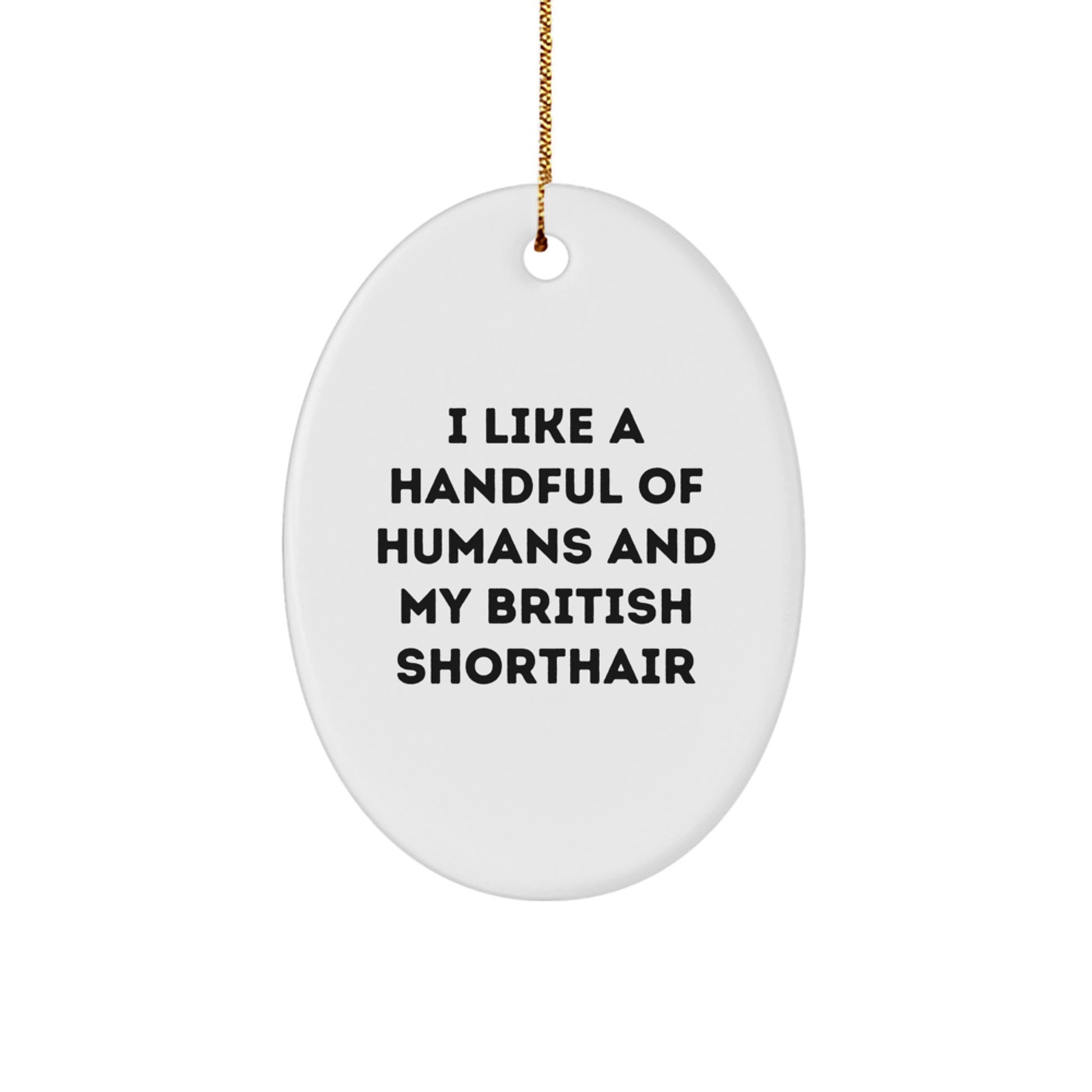 Funny British Shorthair Cat Gifts - Oval Ornament, 'I Like A Handful Of Humans And My British Shorthair' Quote, Christmas Unique Gifts from Family to Friends