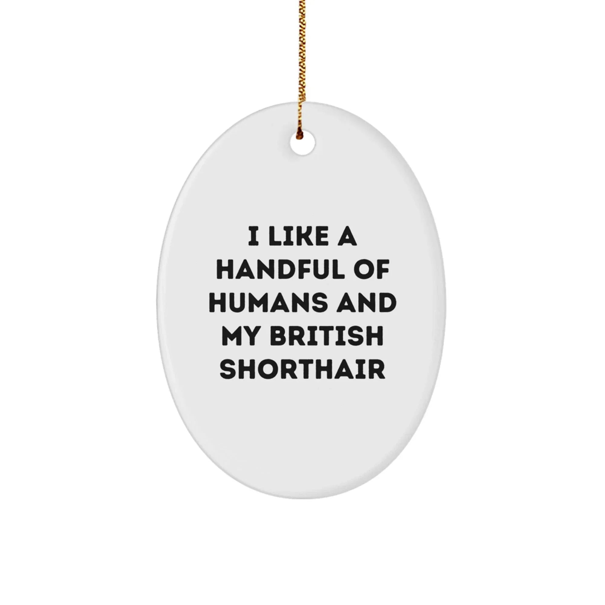 Funny British Shorthair Cat Gifts - Oval Ornament, 'I Like A Handful Of Humans And My British Shorthair' Quote, Christmas Unique Gifts from Family to Friends