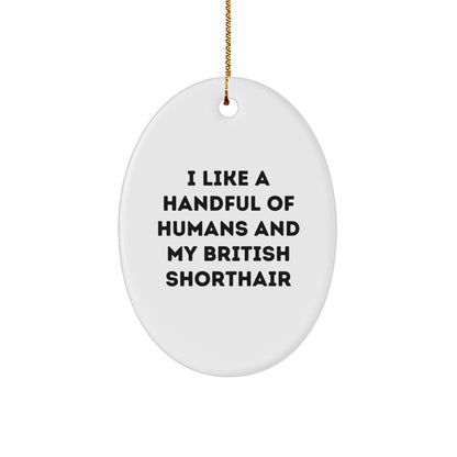 Funny British Shorthair Cat Gifts - Oval Ornament, 'I Like A Handful Of Humans And My British Shorthair' Quote, Christmas Unique Gifts from Family to Friends