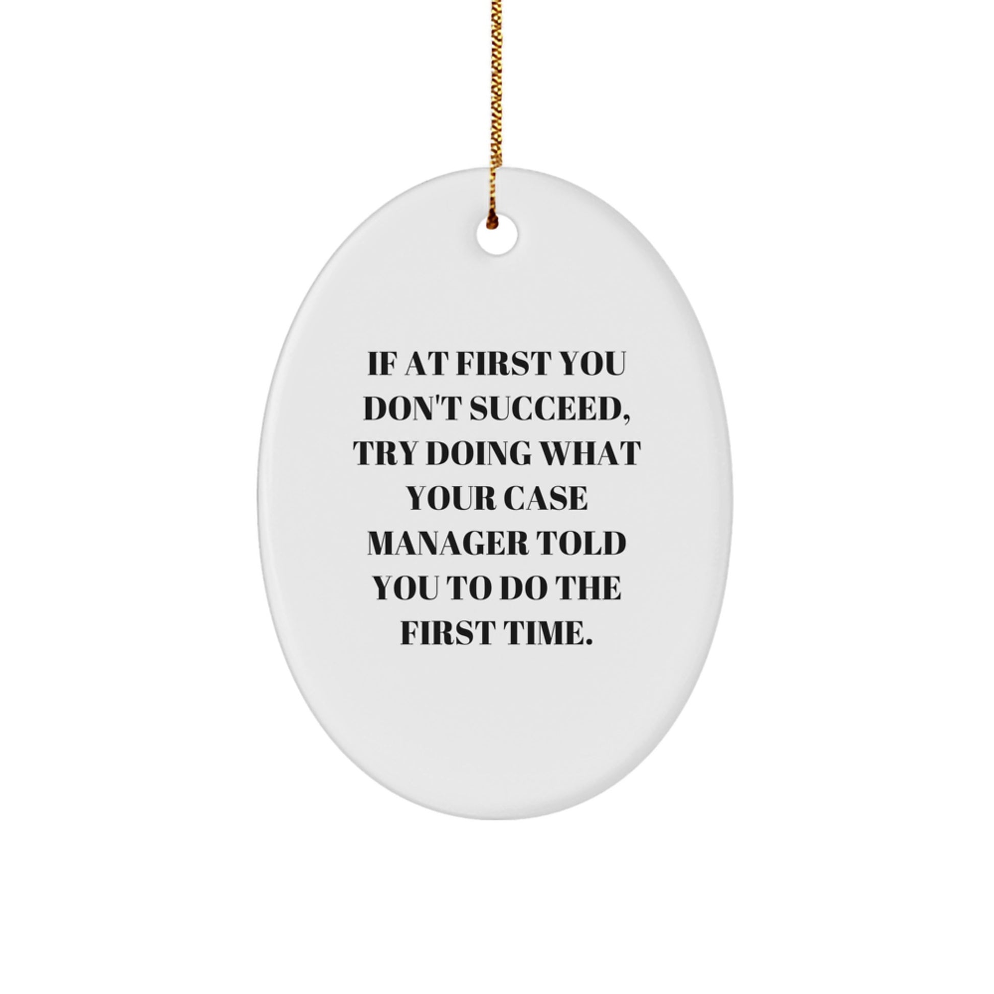 Funny Case Manager Gifts from Friends, 'If At First You Don't Succeed, Try Doing What Your Case Manager Told You To Do The First Time.' Oval Ornament for Christmas