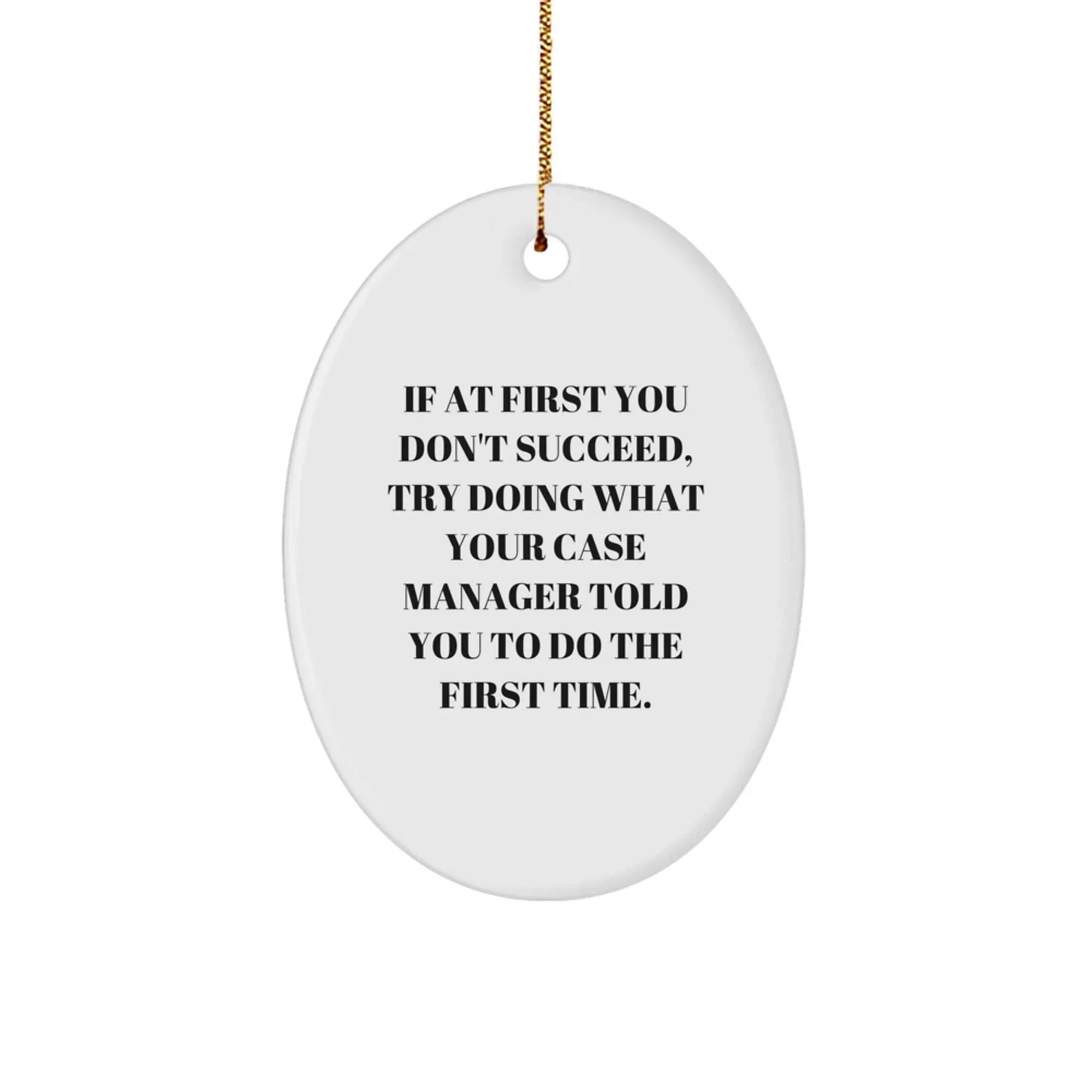 Funny Case Manager Gifts from Friends, 'If At First You Don't Succeed, Try Doing What Your Case Manager Told You To Do The First Time.' Oval Ornament for Christmas