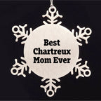 Funny Chartreux Cat Mom Gifts from Friends for Unique Christmas Snowflake Ornaments, Best Chartreux Mom Ever Quote