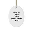 Funny Chinese Crested Dog Oval Ornament Gifts from Friends for Men Women Family Christmas Unique