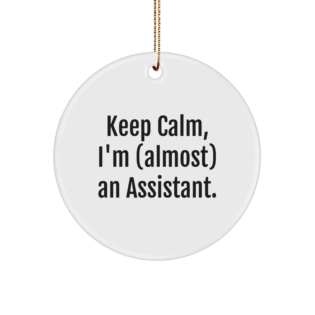 Funny Christmas Unique Gifts from Friends, Coworkers, or Family - Keep Calm I'm (almost) An Assistant Circle Ornament, Assistant Humor, Holiday Decorations