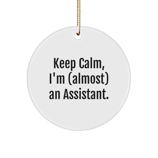 Funny Christmas Unique Gifts from Friends, Coworkers, or Family - Keep Calm I'm (almost) An Assistant Circle Ornament, Assistant Humor, Holiday Decorations