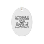 Funny Collie Dog Oval Ornament Gifts - 'My Collie Is The Reason I Wake Up...and The Reason I'm Always Late'