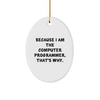 Funny Computer Programmer Oval Ornament Gifts from Friends for Christmas - Because I Am The Computer Programmer. That's Why.