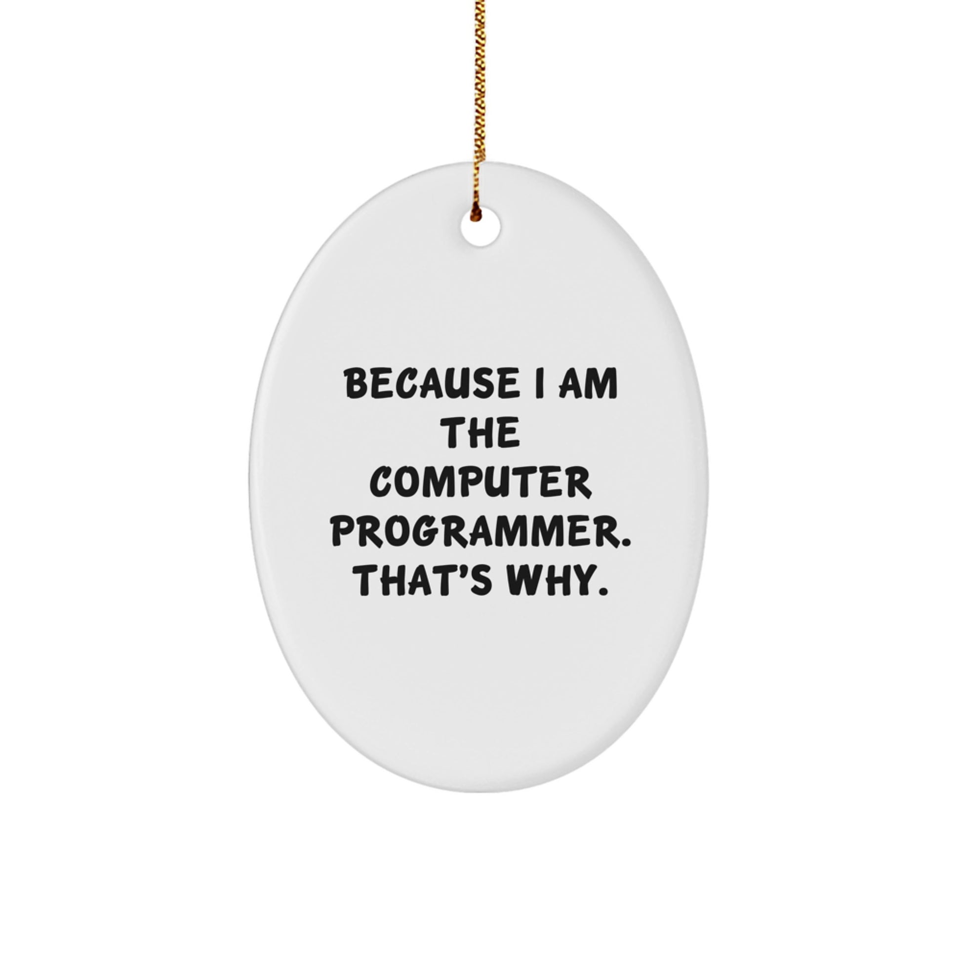 Funny Computer Programmer Oval Ornament Gifts from Friends for Christmas - Because I Am The Computer Programmer. That's Why.