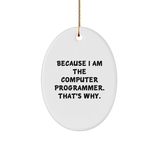 Funny Computer Programmer Oval Ornament Gifts from Friends for Christmas - Because I Am The Computer Programmer. That's Why. - Image 1