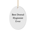 Funny Dental Hygienist Gifts from Family for Christmas Unique Oval Ornaments Best Ever