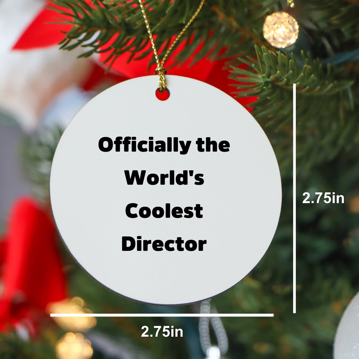 Funny Director Gifts from Friends, Circle Ornament with 'Officially The World's Coolest Director' Quote for Christmas Unique Gifts for Director