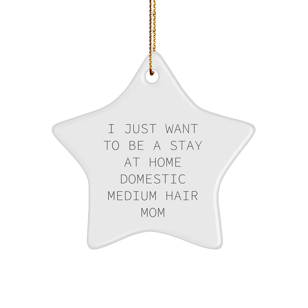 Funny Domestic Medium Hair Cat Mom Star Ornament Gifts from Women to Friends for Christmas