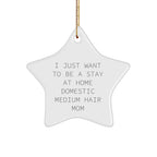 Funny Domestic Medium Hair Cat Mom Star Ornament Gifts from Women to Friends for Christmas