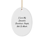Funny Domestic Shorthair Cat Gifts for Men - I Love My Domestic Shorthair. People, Not So Much. Christmas Oval Ornament