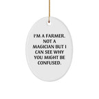 Funny Farmer Gifts - I'm A Farmer Not A Magician, But This Oval Ornament Is A Christmas Unique Gift Idea For Men, Women, Friends, Family