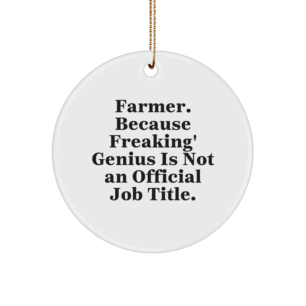 Funny Farmer Gifts from Friends - 'Farmer. Because Freaking' genius Is Not An Official Job Title.' Circle Ornament for Christmas