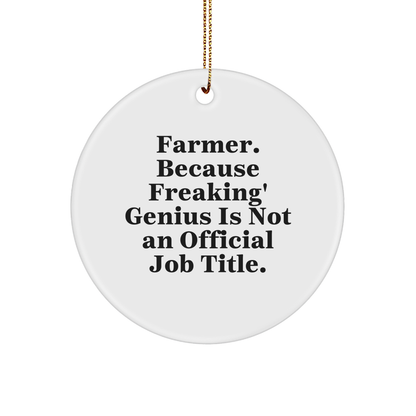 Funny Farmer Gifts from Friends - 'Farmer. Because Freaking' genius Is Not An Official Job Title.' Circle Ornament for Christmas