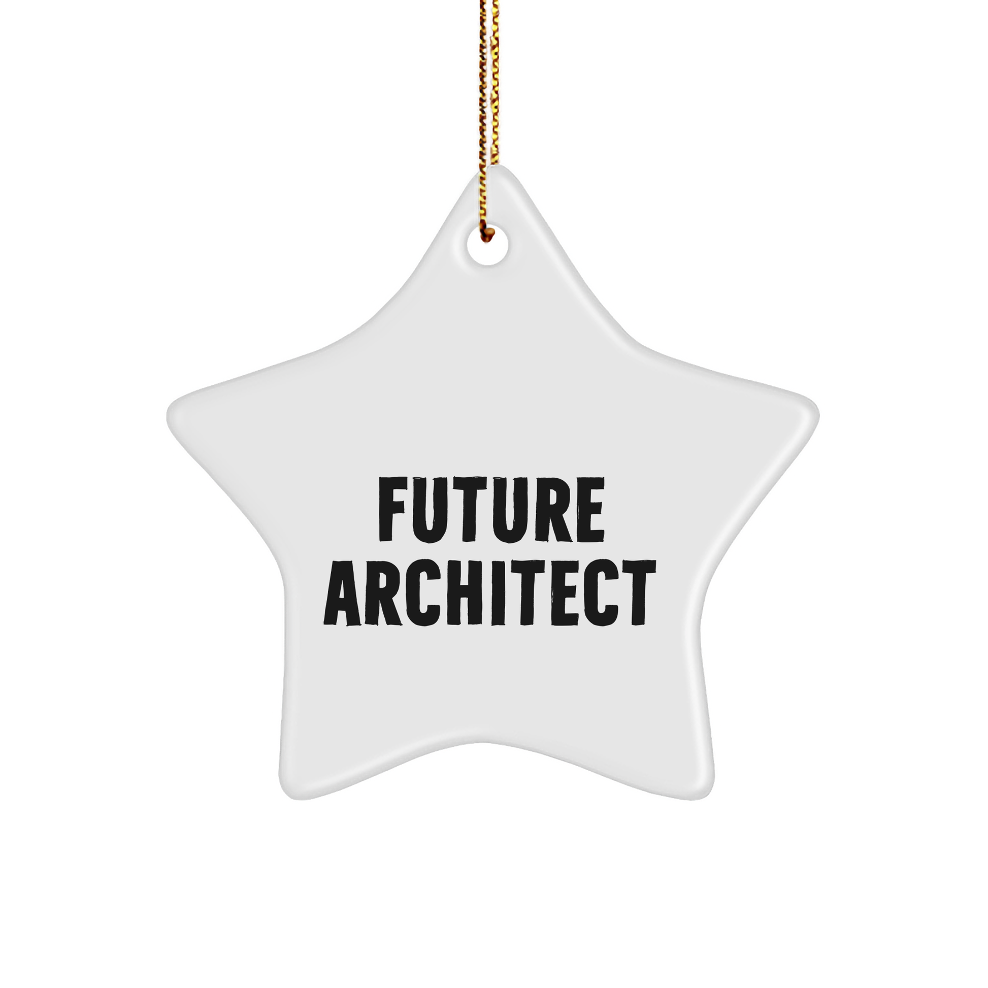 Funny Future Architect Quotes Star Ornament Gifts for Men from Friends at Christmas