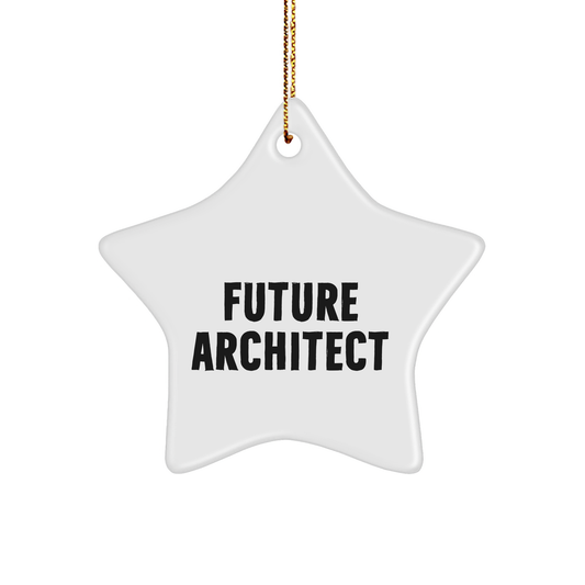Funny Future Architect Quotes Star Ornament Gifts for Men from Friends at Christmas