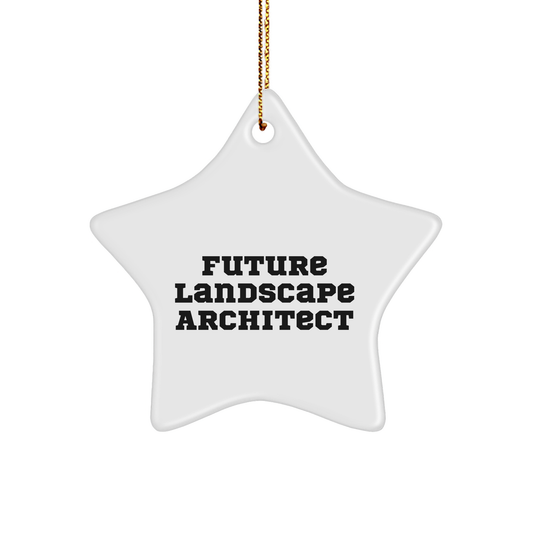 Funny Future Landscape Architect Gifts - Star Ornament for Christmas, 'Believe in Yourself' Quote, Gifts from Family to Friends or Coworkers, Perfect for Home Decor