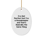 Funny Housekeeper Gifts from Friends to Family - I'm Not Perfect Oval Ornament for Christmas