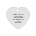 Funny Janitor Gifts from Friends for Janitors, I'm Not Perfect Heart Ornament, Christmas Unique Presents