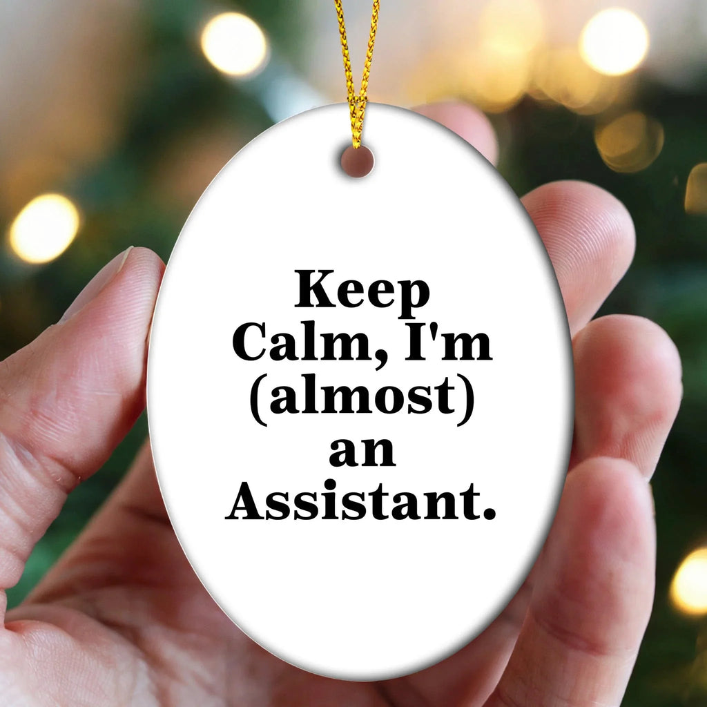 Funny Keep Calm Assistant Oval Ornament Gifts from Friends to Family
