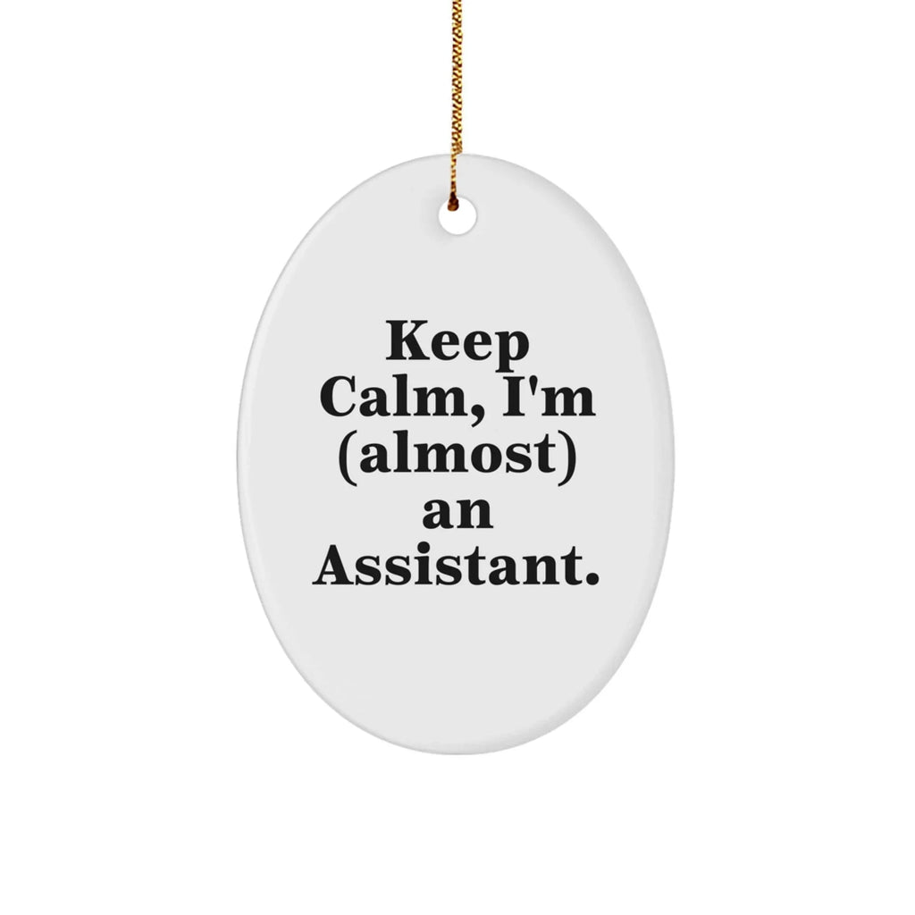 Funny Keep Calm Assistant Oval Ornament Gifts from Friends to Family
