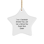 Funny Landscape Architect Gifts - I Am A Landscape Architect Dad Star Ornament for Christmas, Gifts from Men to Friends, Family, Coworkers - Unique Landscape Architect Christmas Memorable Present