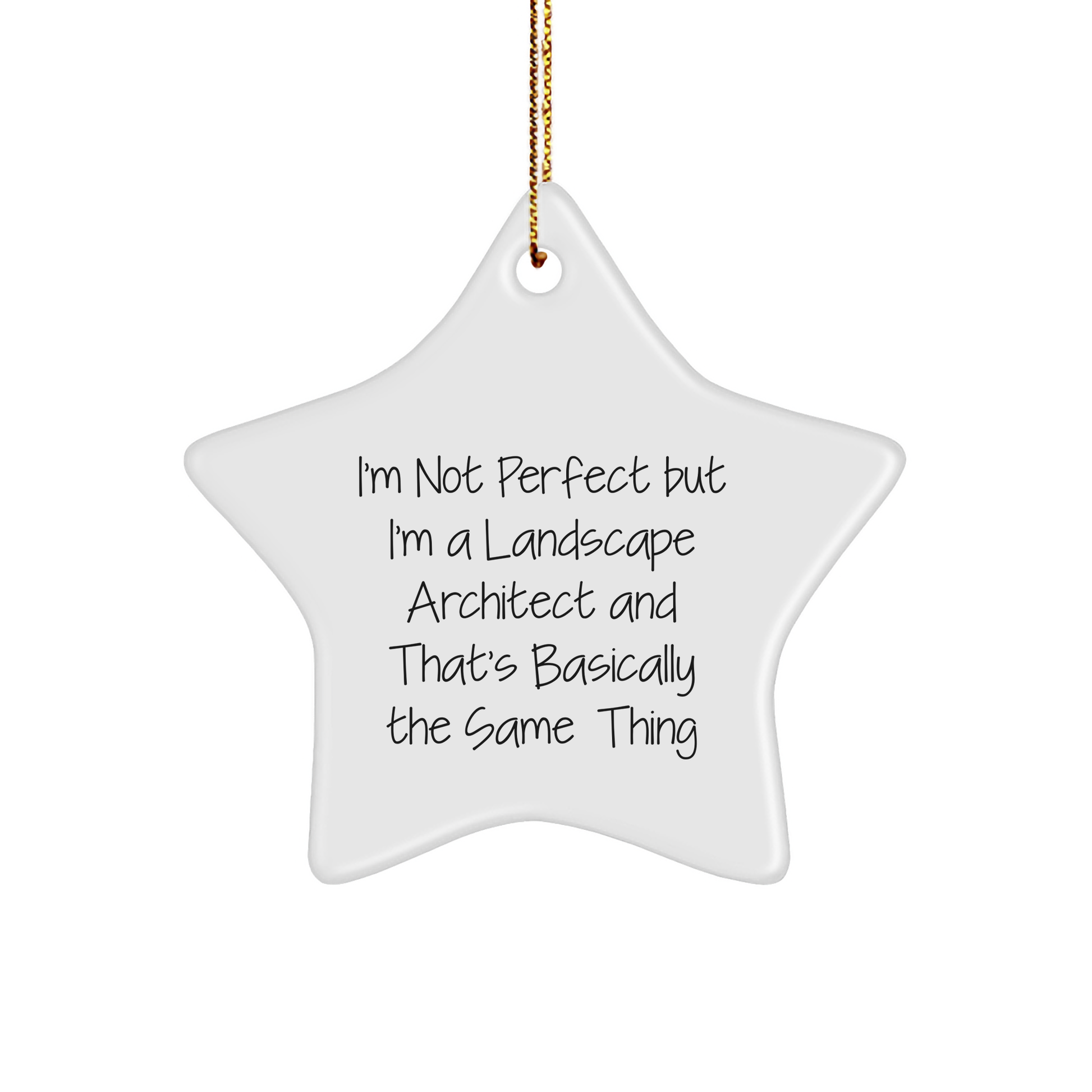 Funny Landscape Architect Gifts for Christmas, I'm Not Perfect Star Ornament from Friends, Family, Coworkers