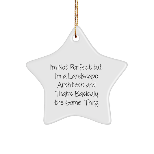 Funny Landscape Architect Gifts for Christmas, I'm Not Perfect Star Ornament from Friends, Family, Coworkers