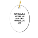 Funny Law Enforcement Officer Gifts from Friends - This Is What Awesome Looks Like, Circle Ornament for Christmas