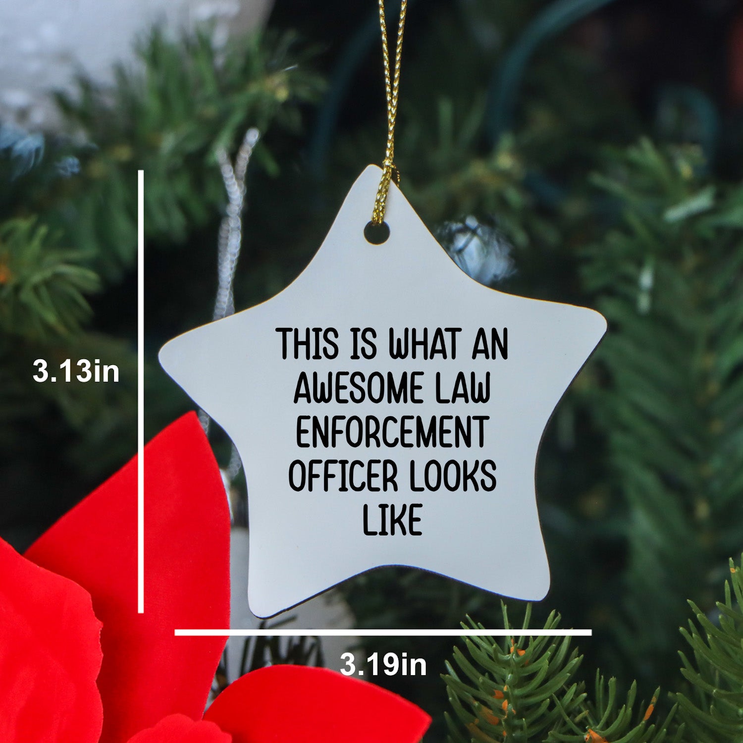 Funny Law Enforcement Officer Gifts, 'This Is What An Awesome Law Enforcement Officer Looks Like' Star Ornament for Christmas - Gifts from Friends, Coworkers, Family