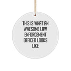 Funny Law Enforcement Officer Gifts from Friends - This Is What Awesome Looks Like, Circle Ornament for Christmas