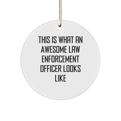 Funny Law Enforcement Officer Gifts from Friends - This Is What Awesome Looks Like, Circle Ornament for Christmas