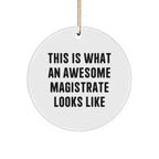 Funny Magistrate Gifts from Friends, Circle Ornament for Awesome Magistrate, This Is What An Awesome Magistrate Looks Like, Christmas Unique Gifts