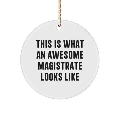 Funny Magistrate Gifts from Friends, Circle Ornament for Awesome Magistrate, This Is What An Awesome Magistrate Looks Like, Christmas Unique Gifts