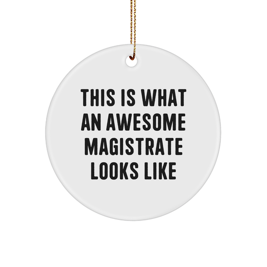 Funny Magistrate Gifts from Friends, Circle Ornament for Awesome Magistrate, This Is What An Awesome Magistrate Looks Like, Christmas Unique Gifts