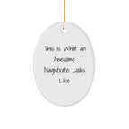 Funny Magistrate Gifts from Friends - Oval Ornament This Is What An Awesome Magistrate Looks Like - Christmas Unique Presents for Magistrates