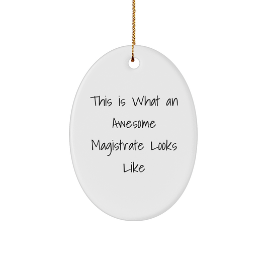 Funny Magistrate Gifts from Friends - Oval Ornament This Is What An Awesome Magistrate Looks Like - Christmas Unique Presents for Magistrates