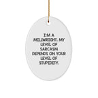 Funny Millwright Gifts from Men to Friends - Oval Ornament with Sarcasm Quote, Perfect for Christmas Unique Gifts