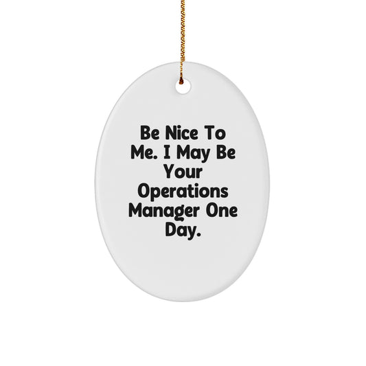 Funny Operations Manager Oval Ornament Gifts from Friends for Christmas - 'Be Nice To Me...'
