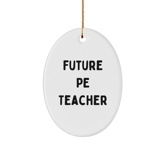 Funny PE Teacher Oval Christmas Ornament 'Future PE Teacher' Appreciation Birthday Gifts