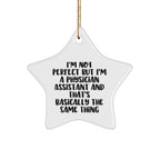 Funny Physician Assistant Gifts, Star Ornament Quotes, Gifts from Men to Physician Assistant Friends, Perfect Christmas Unique Gifts for Physician Assistant Colleagues