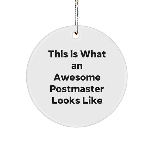 Funny Postmaster Gifts: Circle Ornament, This Is What An Awesome Postmaster Looks Like, White, Christmas, Gifts from Friends to Family