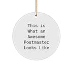 Funny Postmaster Gifts from Men to Awesome Postmasters, This Is What An Awesome Postmaster Looks Like Circle Ornament for Christmas